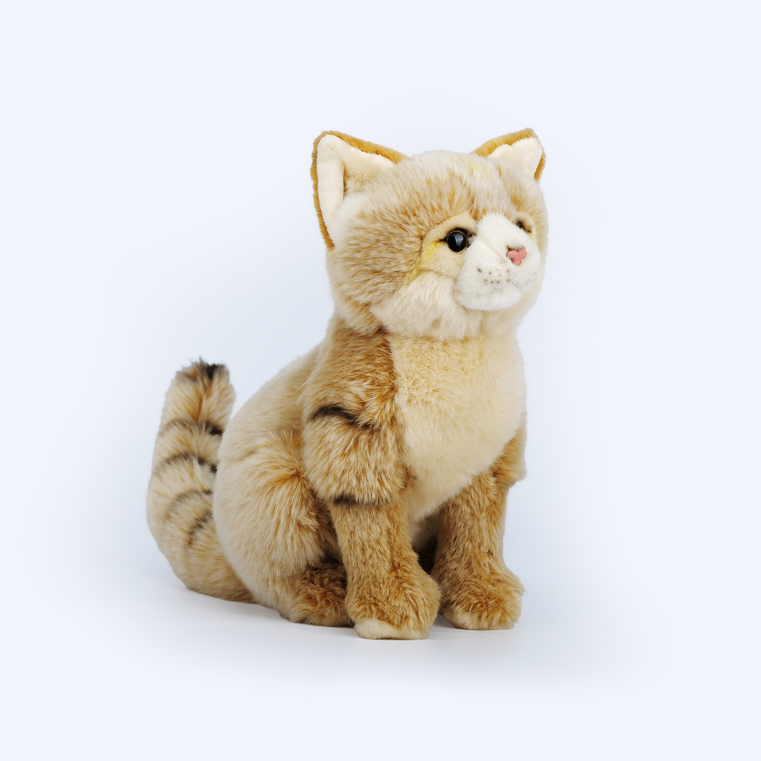 Sand Cat