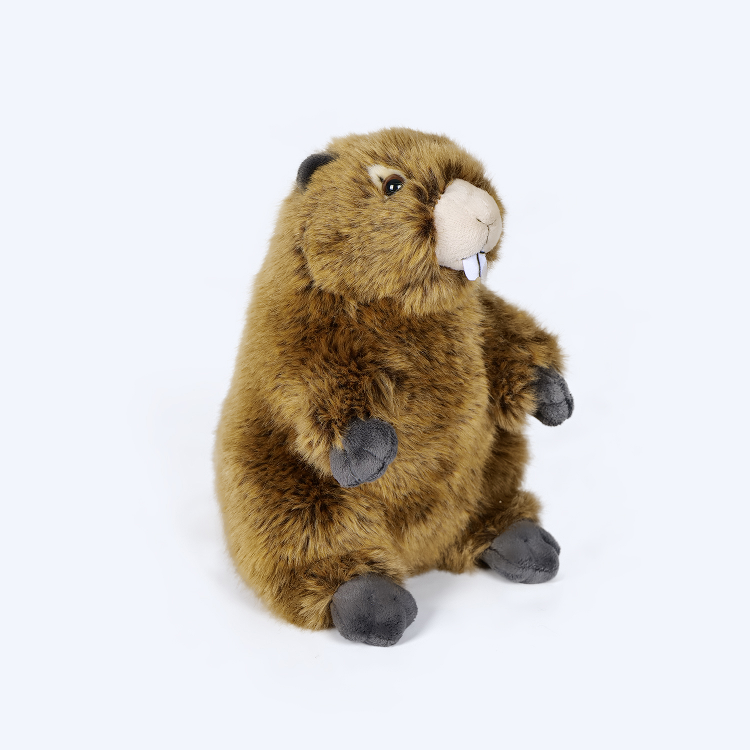 Marmot Plush Toy